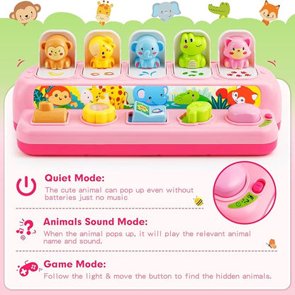 Duchong Toys for 1 Year Old Girls, Interactive Pop Up Toy with Music & Light, Montessori Learning Toys for Infant Baby Toddler 9-12-18 Months, First 1st Birthday Gifts for Girls Boys