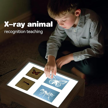 Light Table for Kids -Sand Painting Light Box All-in-One Sandbox Alternative with Tracing Light Box, 10 Dimming Levels & 50+ Pieces(USB)