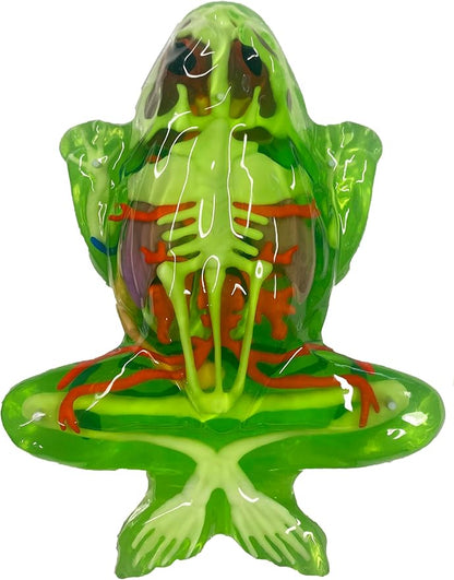 Dissect-It Kit for Kids, Simulated Synthetic Lab Dissection Toy, Frog Super Lab STEM Toys for Animal Science, Biology, and Anatomy
