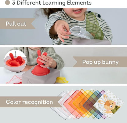 Taf Toys Baby Tissue Box Montessori Toys for Babies - Sensory & Motor Skills Development Silicone Toy with 10 Fabric Tissues, Pop-Up Bunny, Toys for 1 Year Old Boy Girl Preschool Toy