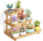 NUTCRACKER Succulent Flower Botanical Collection Building Set for Adults - Plant Flower Mini Bonsai Toy Building Set, Home Office Decor, Christmas Birthday Gifts for Women (750 Pieces)