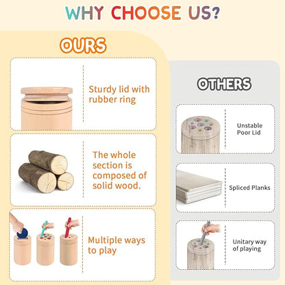 JOMBY Montessori Toys for Kids: 3 in 1 Sensory Learning Color Sorting Toys Wooden for 3 Year Old, Fine Motor Developmental Children Matching Games, Preschooler Learning Activities Boys Girls Gifts