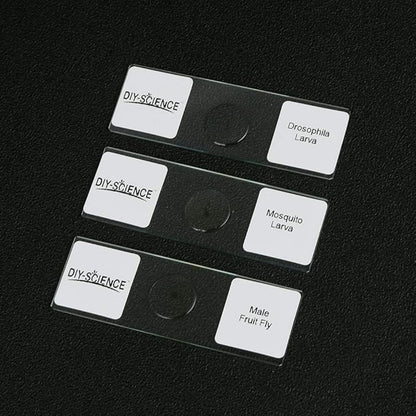 Prepared Whole Insects Microscope Slides Set, 10pcs Specimens for Kids Students Biology Class, Educational Gift (Whole Insects)