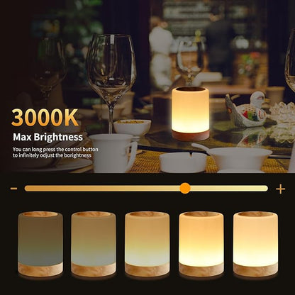 OORUN Touch Bedside Table Lamp,13 RGB Colors & 5 Brightness, USB Rechargeable Desk Lamp, Remote Control Dimmable Night Light with RGB Color Changing,Portable Lamp for Baby, Bedroom, Living Room