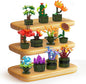 NUTCRACKER 12Pcs/Set Succulent Flower Building Set, Flower Bonsai Botanical Collection Toy Building Kit, DIY Mini Flower Model Home Decor, Easter Birthday Gift for Adult Women Girls (987 Pieces)