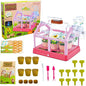 Kids Plant Growing Kit Greenhouse Growing Set Terrarium Kit Kids Science Educational DIY Plant Gardening Toy, Living Greenhouse with Solar Panel, Indoor Gardening Kit