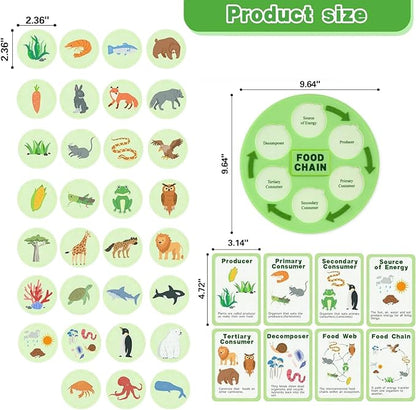 Life Cycle Toys for Kids-Food Chain & Food Web Science Education Toys - Montessori Animal Life Cycle Learning Toys for Toddlers-Preschool Classroom Must-Have Science Kits for Kids