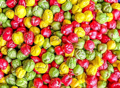 Colored Chickpeas for Sensory Play and Sensory Bins - Many Different Seasonal Colors (4 Cups, Apples)