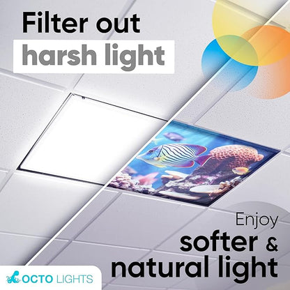 Light Covers for Ceiling Lights Classroom - Magnetic Ocean Cover for Fluorescent Or LED Fixture - Must Haves for Teacher Supplies - Home, Office Cubicle Decor - Calming Overhead Lighting