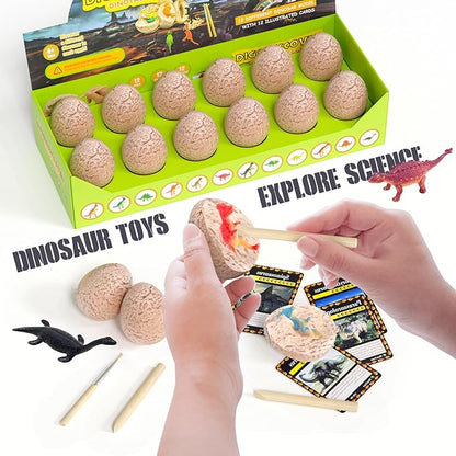 Dinosaur Eggs-Dig a Dozen Dino Egg Kit for Kids - Dinosaur Toys Gift for Boys 3-12 Year Old -12 Dino Eggs Dig Excavation Kit- Stocking Stuffers Science STEM Activities-Party Gifts for Boys & Girls