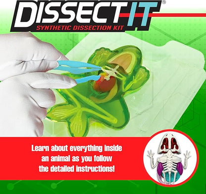 Dissect-It Simulated Synthetic Lab Dissection Toy, STEM Projects for Kids Ages 6 and Up, Animal Science, Biology, Anatomy Home Learning Kit, Great for Young Scientists! – Frog