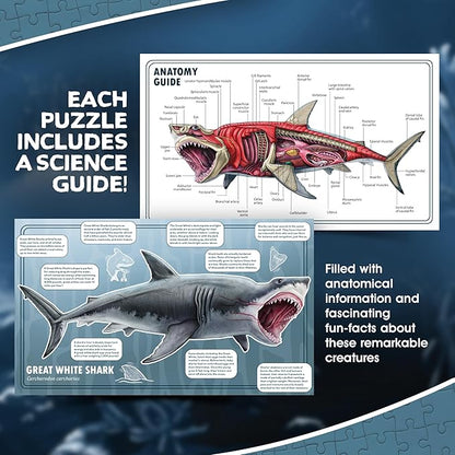 Shark Animal Anatomy Floor Puzzle | 100-Piece Double Sided Jigsaw Puzzle | Large Floor Puzzles for Kids Ages 4-8, 3-5, 8-10 | Fun and Educational Toy for Kids, Toddlers and Families