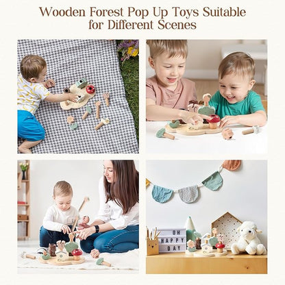 Pop Up Toy Color Sorting Wooden Toys | STEM Montessori Toys Color Matching Toy for Toddlers | Preschool Learning Educational Toy Birthday Gifts for Kids Boys Girls Ages 12 Months+