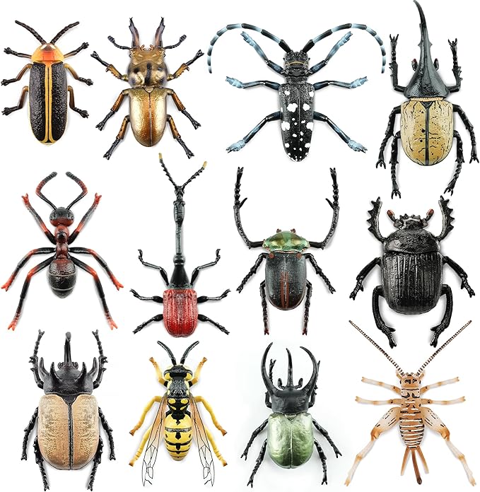 Toymany 12PCS Realistic Insects Figurines Toys - Plastic Bugs Figures Set with Cricket Bee Ant Dung Beetle, Educational Toy Cake Toppers Christmas Birthday Gift for Toddlers Kids