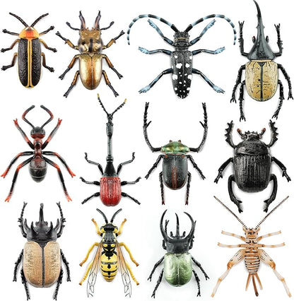 Toymany 12PCS Realistic Insects Figurines Toys - Plastic Bugs Figures Set with Cricket Bee Ant Dung Beetle, Educational Toy Cake Toppers Christmas Birthday Gift for Toddlers Kids