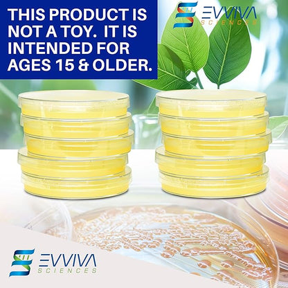 Evviva Sciences Nutrient Agar Petri Dishes Science Project Kit, Pre-Poured Agar Plates for Science Experiments, with Experiment eBook (Yellow)