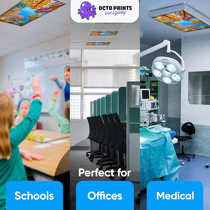 Fluorescent Light Covers for Ceiling Lights - 4 Seasons Magnetic Cover for Fluorescent Or LED Fixture - Must Haves Teacher Supplies - Classroom, Home, Office Cubicle Decor - Filters Overhead Lighting