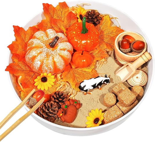 Hiawbon Thanksgiving Sensory Bin Kits, Fall Sensory Bin Fillers, Maple Leaves Pumpkins Pine Cones Sensory Box for Thanksgiving Fall Decor Birthday