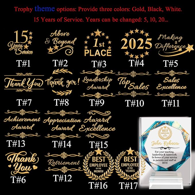 Custom Engraved Acrylic Employee Recognition Award – Personalized Appreciation Trophy for Corporate Excellence – Desk Display Plaque with Free Customization (Style #7)