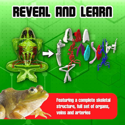 Dissect-It Kit for Kids, Simulated Synthetic Lab Dissection Toy, Frog Super Lab STEM Toys for Animal Science, Biology, and Anatomy