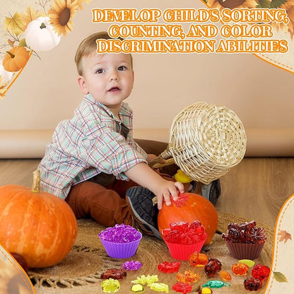 Hotop 214 Pcs Fall Sensory Bin Items Fall Counting Sorting Decoration Fine Motor Toy Thanksgiving Sensory Bin Fillers with 200 Acrylic Leaves 2 Tweezers 12 Sorting Bowls for Boys Girls Early Education