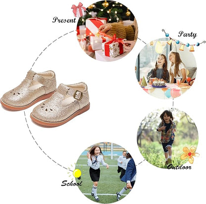 Felix & Flora Toddler Little Girl Mary Jane Dress Shoes - Ballet Flats for Girl Party School Shoes