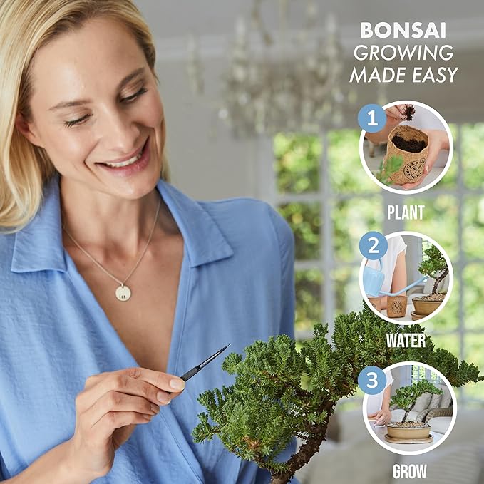 Garden Republic Medium Bonsai Tree Kit, Grow 3 Mini Bonsai Trees, Indoor Plant Growing - Starter Kit with Seeds, Soil, Planters & Shears, Gardening Gifts