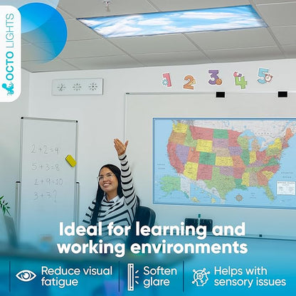 Fluorescent Light Covers for Ceiling Lights - Magnetic Cloud Cover for Fluorescent Or LED Fixture - Must Haves for Teacher Supplies - Classroom, Home, Office Cubicle Decor - Filters Overhead Lighting