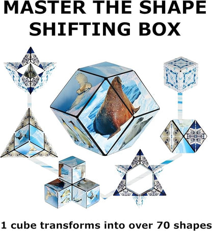 SHASHIBO Shape Shifting Box - Award-Winning Fidget Toy w/ 36 Rare Earth Magnets - Fidget Cube Transforms Into Over 70 Shapes, Sensory Toy Gift for Kids, Teens, and Adults (Wild Series - Arctic)