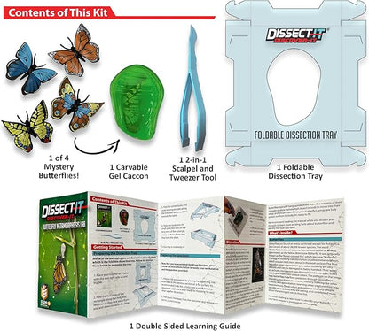 Dissect-It Discover-It Simulated Synthetic Lab Dissection STEM Toy, Complete Set of 4 Kits, Kids’ Home Learning Science Projects, Great for Young Scientists!