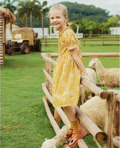 Felix & Flora Toddler Little Girl Mary Jane Dress Shoes - Ballet Flats for Girl Party School Shoes