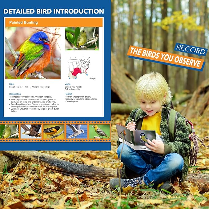 Toys for 3-7 Year Old Boys: LET'S GO! Binoculars for Kids with Bird Watching Manual Christmas Birthday Gifts for 4 5 6 7 8 Year Old Boy Girls Outdoor Toy for Kid Ages 5-7 Toddler Camping Telescope