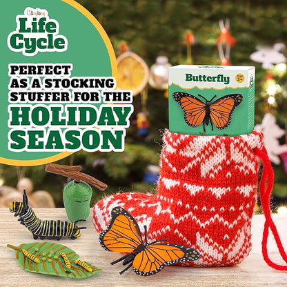 Life Cycle Kit Montessori - Realistic Figurine Toys, Kids Animal Matching Game with Butterfly, Catterpilar & More - Stocking Stuffers Science,Fun for Learning & Education Toys, for Children 3+