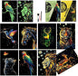 Scratchboard Art for Adult Luminous Scratch Painting Kits, A5 Scratch Art Rainbow Painting Paper 8 Sheet with 4 Tools, Scratchboard for Teens & Adults, Fun Creative Craft Toy/Gifts/Decor, Animals