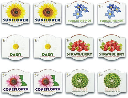 BUZZY Seeds Terracotta Mini Grow Pots | Herb, Plant, Flower Starter Kit for Kids & Adults | Assorted 12-Pack, Classic Collection | Guaranteed to Grow | Best Indoor-Outdoor Gardening Gift