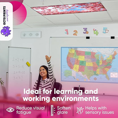 Fluorescent Light Covers for Ceiling Lights - 4 Seasons Magnetic Cover for Fluorescent Or LED Fixture - Must Haves Teacher Supplies - Classroom, Home, Office Cubicle Decor - Filters Overhead Lighting