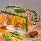Kids Plant Growing Kit, Kids Gardening Greenhouse Growing Kit with Drip Irrigation and Grow Lights, Science STEM Toys Terrarium Kit for Boys Girls 3 4 5 6 7 8 Year Old,Kids Flower Growing Kit