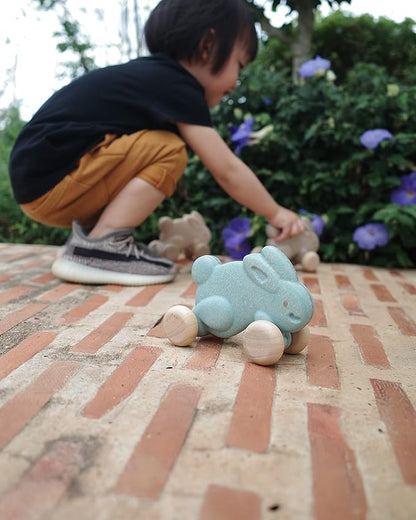 PlanToys Push Along Bunny (Blue)