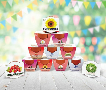 BUZZY Seeds Terracotta Mini Grow Pots | Herb, Plant, Flower Starter Kit for Kids & Adults | Assorted 12-Pack, Classic Collection | Guaranteed to Grow | Best Indoor-Outdoor Gardening Gift