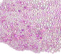 Iridescent Glass Tiny Bubble Beads, 0.4-3mm 10g No Hole Micro Mini Round Purple Water Droplets Beads - Applications: for Resin Filler, Nail Art, Dollhouse Bath Tub