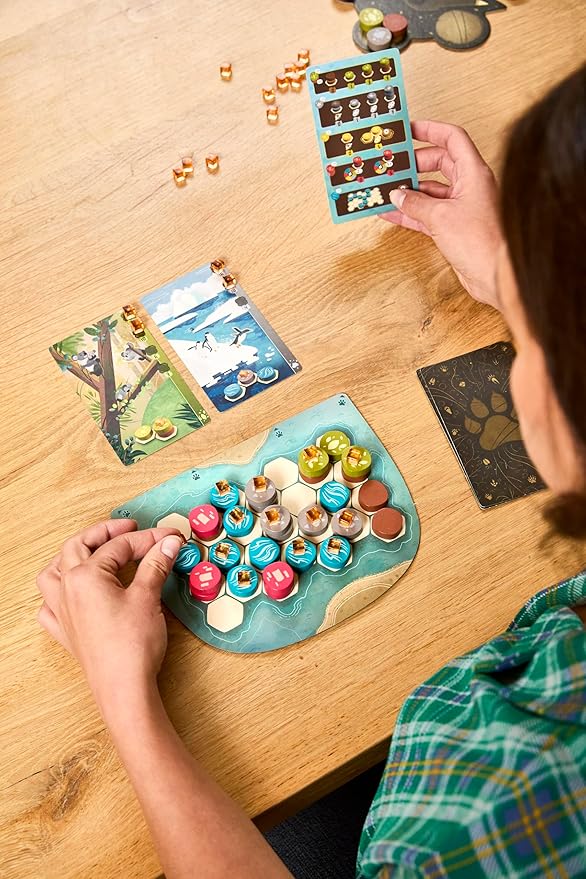 Asmodee Harmonies Board Game - Create Oneiric Landscapes, Strategic & Poetic Gameplay, Fun Family Game for Kids & Adults, Ages 10+, 1-4 Players, 30 Min Playtime, (Multilingual Edition)