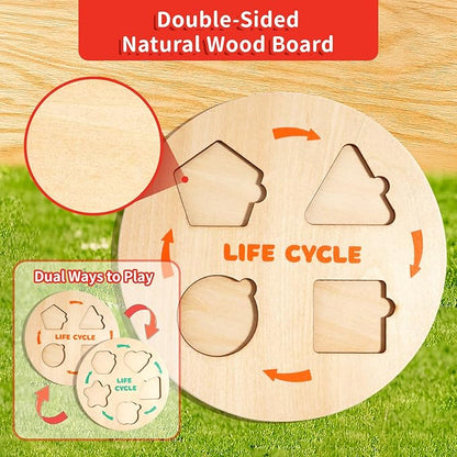 Montessori Wooden Preschool Educational Toys Set for Toddlers 3-6,Life Cycle Puzzle, Shape Sorting Matching Game & Ecosystem Science Center – STEM Learning Gifts for Boys & Girls