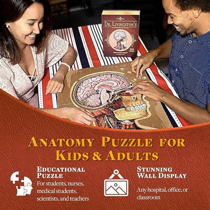 Genius Games Human Head Anatomy Puzzle - Adult Jigsaw Puzzles Unique Gifts for Kids Educational Science - 441 Piece Teen Floor Puzzle - Genius Games Dr. Livingston