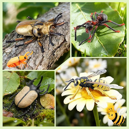 Toymany 12PCS Realistic Insects Figurines Toys - Plastic Bugs Figures Set with Cricket Bee Ant Dung Beetle, Educational Toy Cake Toppers Christmas Birthday Gift for Toddlers Kids
