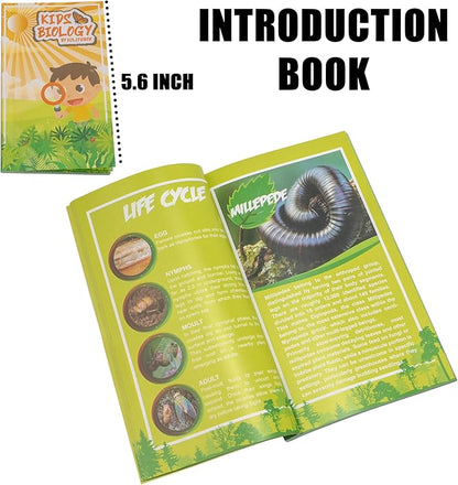 Insect Specimen Set, Bugs Collection Scientific Education Gift for Kids Aged 3-8-12 (Millipede, Centipede, Dragonfly Larvae, Tea Seed Bug, Red Longhorn Beetle, Spiny Spider)