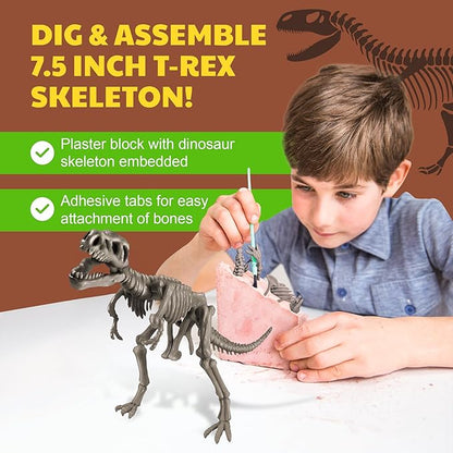 4M - STEAM Dinosaur World - Dig & Assemble Jurassic World Dinosaur Toys Volcano, Build Prehistoric Diorama, Includes Fossil Excavation Tools & Toy Dinosaurs - STEM Learning Kit for Kids Ages 5+