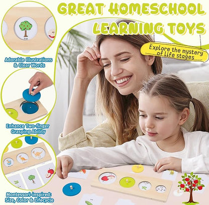 Montessori Wooden Circle Puzzle with Knob,Montessori Toys for 12-18 Months-Mirror Peekaboo Peg Board with 32 Cards for 8 Life Cycles,First Baby Puzzle for Toddlers 1-3,Wooden Preschool Learning Toys