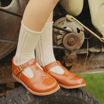 Felix & Flora Toddler Little Girl Mary Jane Dress Shoes - Ballet Flats for Girl Party School Shoes