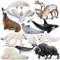 Toymany 12PCS 4-7" Large Polar Animals Figurines, Plastic Arctic Animal Toy Preschool Set Includes Polar Bear,Caribou,Whales,Walrus, Cake Toppers Christmas Birthday Toys Gift for Kids Toddlers