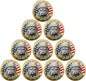 USMC 250th Anniversary Challenge Coin – Double-Sided Marine Corps Commemorative with Bulldog & Iwo Jima – Military Gift for Veterans & Collectors (10PCS)